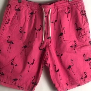 H&M Flamingo Shorts Size 34